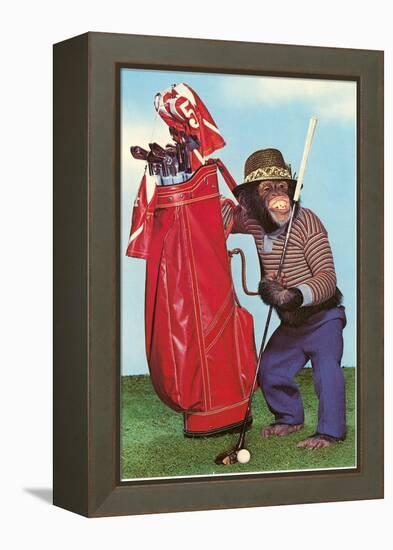 Chimp with Golf Bag-null-Framed Stretched Canvas