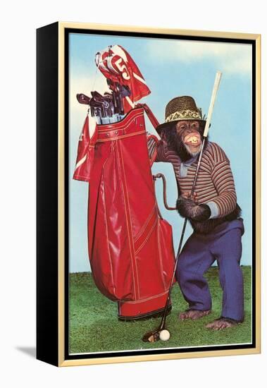 Chimp with Golf Bag-null-Framed Stretched Canvas