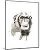 Chimp-Philippe Debongnie-Mounted Art Print