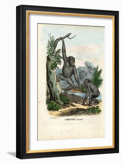 Chimpanzee, 1863-79-Raimundo Petraroja-Framed Giclee Print