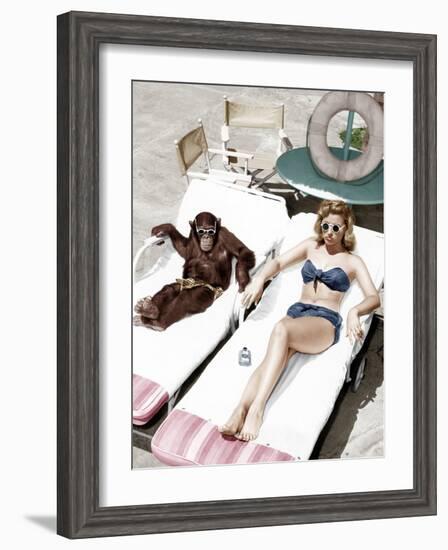 Chimpanzee and a Woman Sunbathing-null-Framed Photo