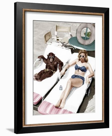 Chimpanzee and a Woman Sunbathing--Framed Photo