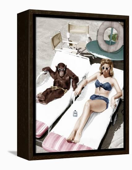 Chimpanzee and a Woman Sunbathing-null-Framed Stretched Canvas