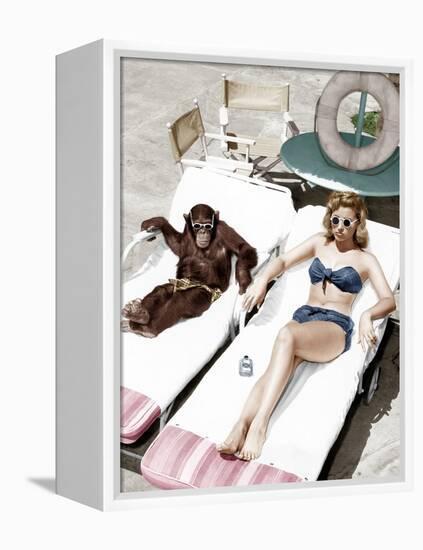 Chimpanzee and a Woman Sunbathing-null-Framed Stretched Canvas