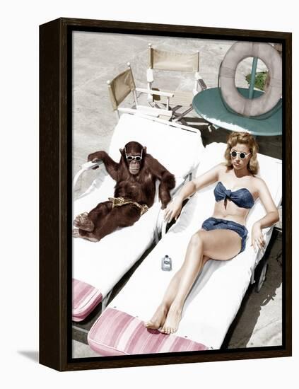 Chimpanzee and a Woman Sunbathing-null-Framed Stretched Canvas