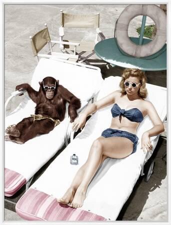 Chimpanzee and a Woman Sunbathing' Photo | Art.com