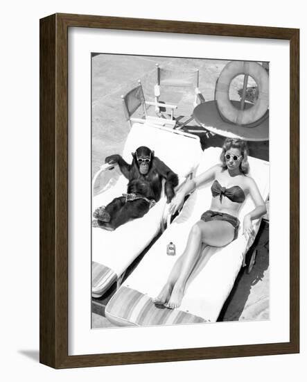 Chimpanzee and a Woman Sunbathing-null-Framed Photo