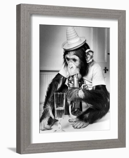 Chimpanzee at Twycross Zoo 1988-Staff-Framed Photographic Print