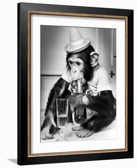 Chimpanzee at Twycross Zoo 1988-Staff-Framed Photographic Print