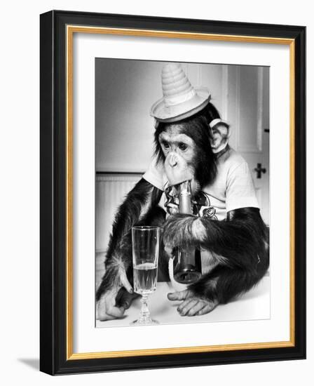 Chimpanzee at Twycross Zoo 1988-Staff-Framed Photographic Print