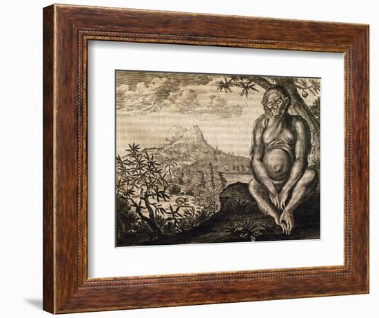 Chimpanzee, Engraving from the Description of Africa-Olfert Dapper-Framed Giclee Print