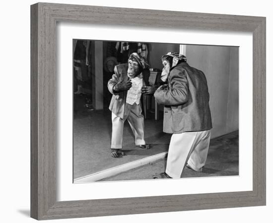 Chimpanzee in a Jacket and Trousers in Front of a Mirror-null-Framed Photo