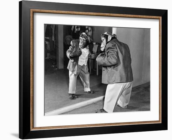 Chimpanzee in a Jacket and Trousers in Front of a Mirror-null-Framed Photo