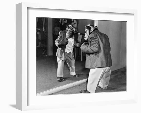 Chimpanzee in a Jacket and Trousers in Front of a Mirror-null-Framed Photo