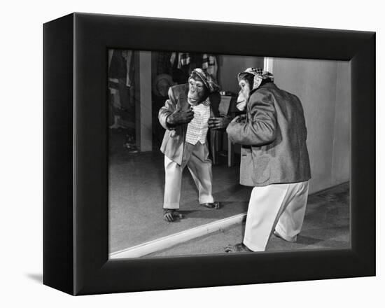 Chimpanzee in a Jacket and Trousers in Front of a Mirror-null-Framed Stretched Canvas