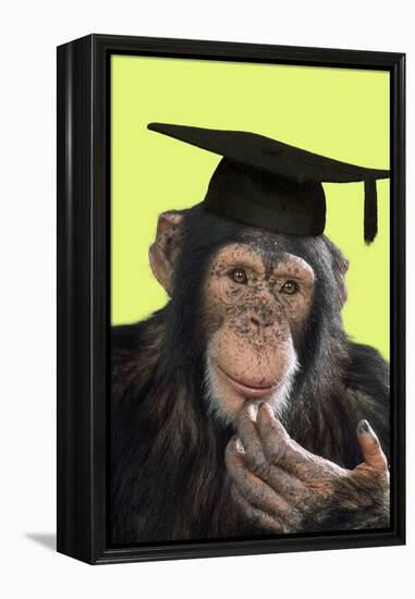 Chimpanzee in Mortarboard-null-Framed Premier Image Canvas