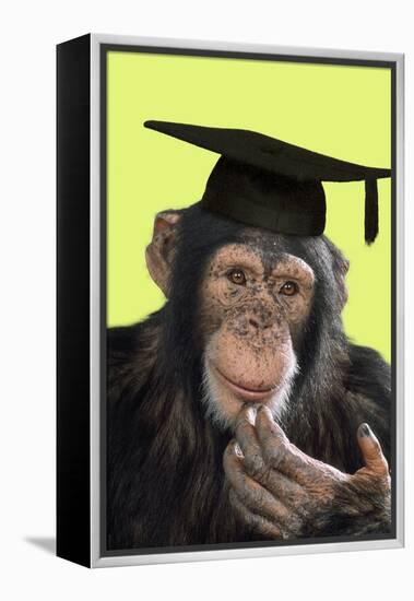 Chimpanzee in Mortarboard-null-Framed Premier Image Canvas