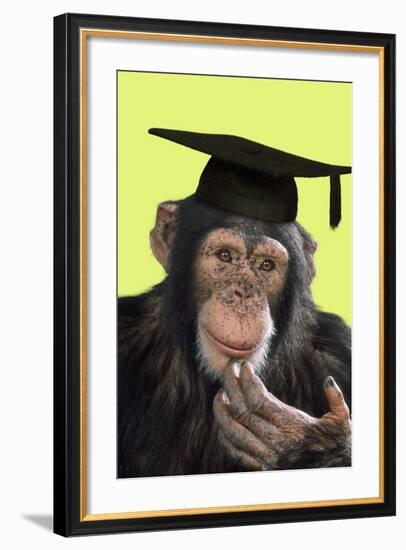 Chimpanzee in Mortarboard-null-Framed Photographic Print