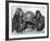 Chimpanzee Inflates a Balloon-null-Framed Photographic Print