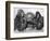 Chimpanzee Inflates a Balloon-null-Framed Photographic Print