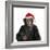 Chimpanzee Showing Lips 'Kissing' Wearing Christmas Hat-null-Framed Photographic Print