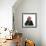 Chimpanzee Showing Lips 'Kissing' Wearing Christmas Hat-null-Framed Photographic Print displayed on a wall