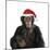 Chimpanzee Showing Lips 'Kissing' Wearing Christmas Hat-null-Mounted Photographic Print