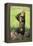 Chimpanzee Smashing Rocks-DLILLC-Framed Premier Image Canvas