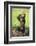 Chimpanzee Smashing Rocks-DLILLC-Framed Photographic Print