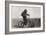 Chimpanzee Titine Riding a Bicycle at the Zoo in Berlin-null-Framed Giclee Print