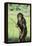 Chimpanzee with Stick-DLILLC-Framed Premier Image Canvas
