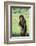 Chimpanzee with Stick-DLILLC-Framed Photographic Print