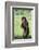 Chimpanzee with Stick-DLILLC-Framed Photographic Print