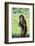 Chimpanzee with Stick-DLILLC-Framed Photographic Print