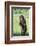 Chimpanzee with Stick-DLILLC-Framed Photographic Print