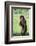 Chimpanzee with Stick-DLILLC-Framed Photographic Print