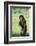 Chimpanzee with Stick-DLILLC-Framed Photographic Print