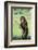 Chimpanzee with Stick-DLILLC-Framed Photographic Print