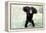 Chimpanzee Young, with Arms on Head-null-Framed Premier Image Canvas