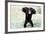 Chimpanzee Young, with Arms on Head-null-Framed Photographic Print