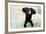 Chimpanzee Young, with Arms on Head-null-Framed Photographic Print