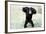 Chimpanzee Young, with Arms on Head-null-Framed Photographic Print