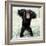 Chimpanzee Young, with Arms on Head-null-Framed Photographic Print