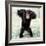 Chimpanzee Young, with Arms on Head-null-Framed Photographic Print