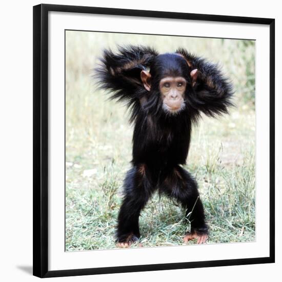 Photographic Print, , large