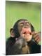 Premium Photographic Print