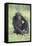 Chimpanzee-DLILLC-Framed Premier Image Canvas