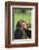 Chimpanzee-DLILLC-Framed Photographic Print