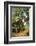 Chimpanzee-DLILLC-Framed Photographic Print