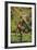 Chimpanzee-DLILLC-Framed Photographic Print